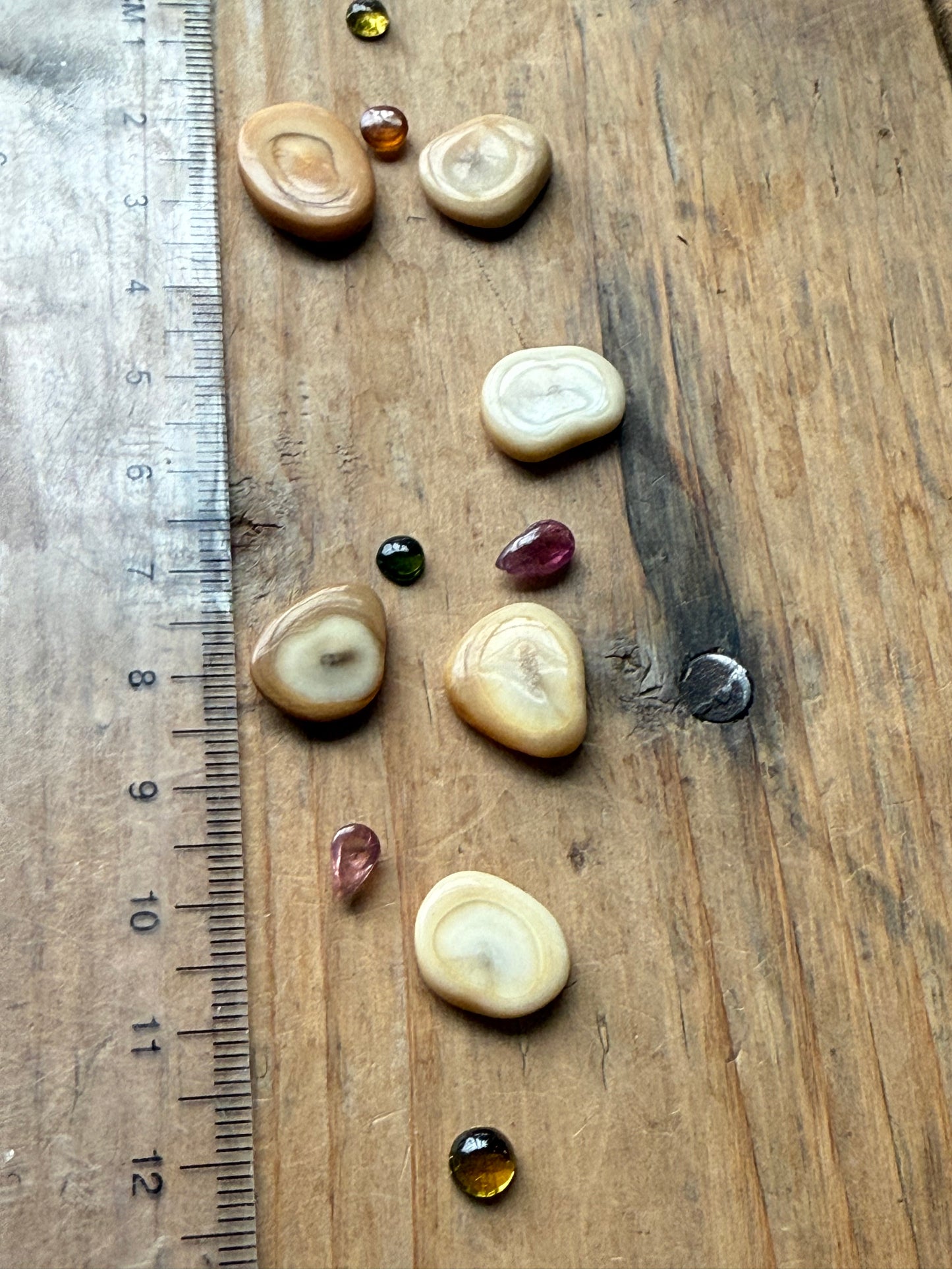 Gemstone Collection 590: Ancient Sliced bone, Rainbow Tourmaline