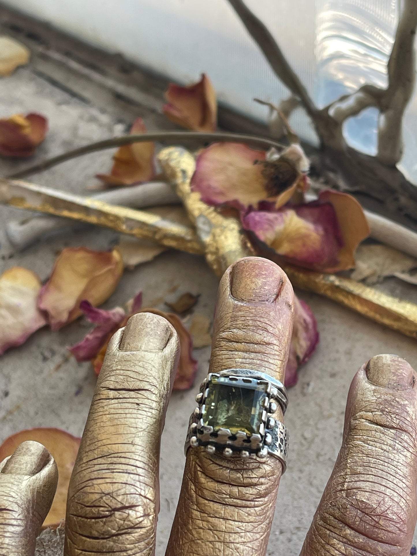 Ring 13