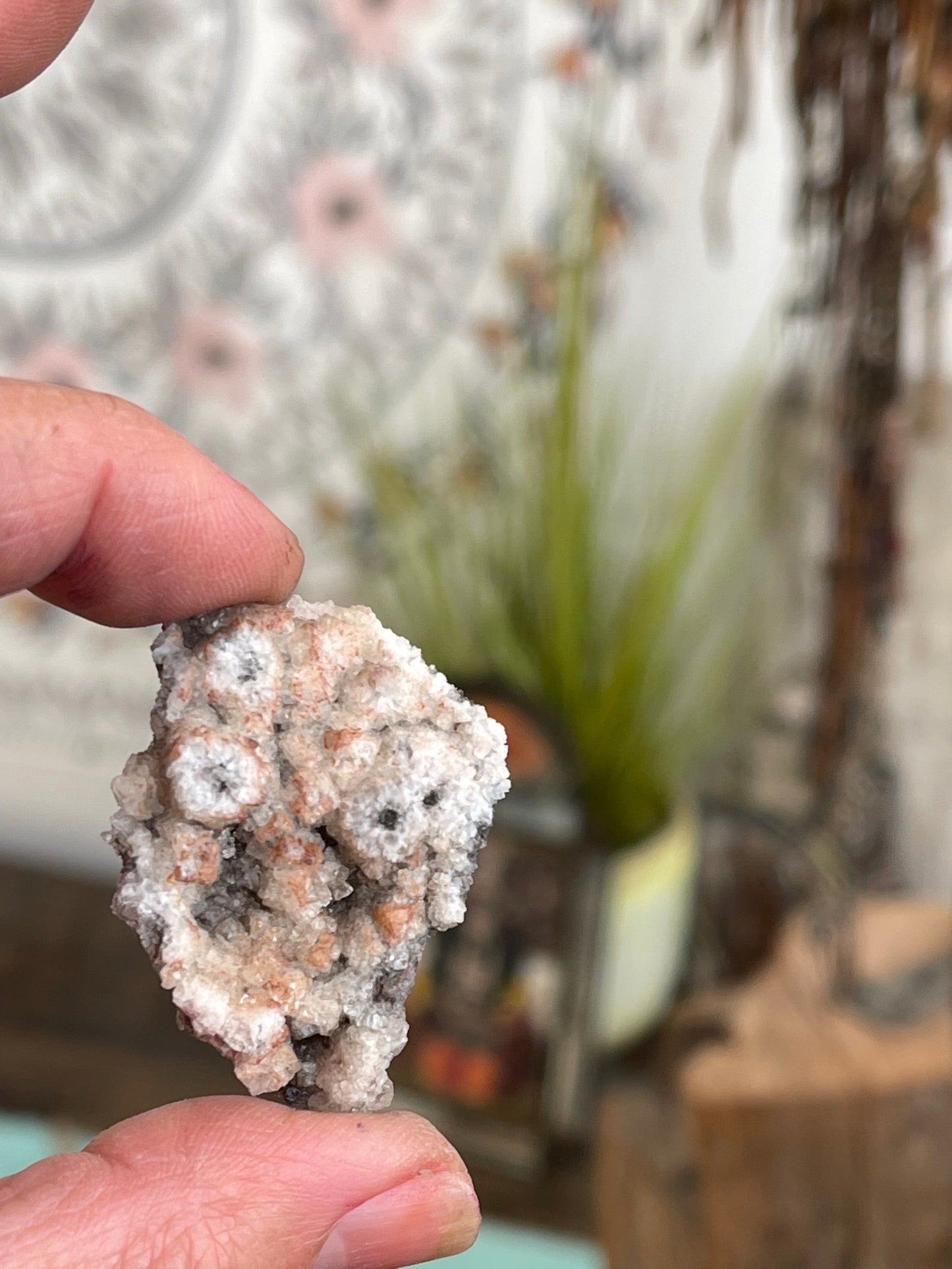 Ancients Collection 298 - Crystal Druzy