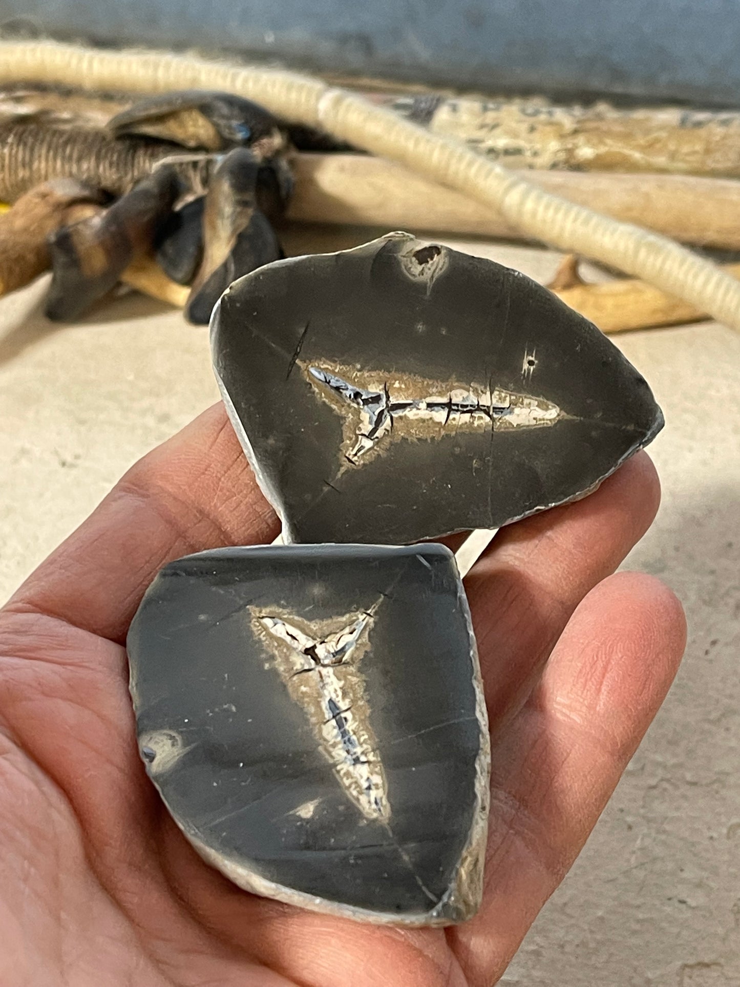Ancient Petrified Mud