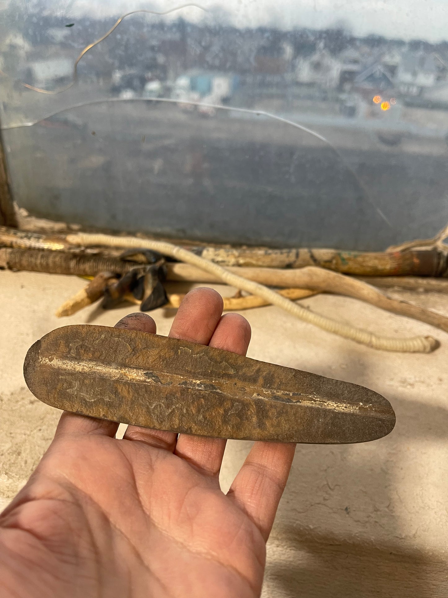 Trilovite Fossil