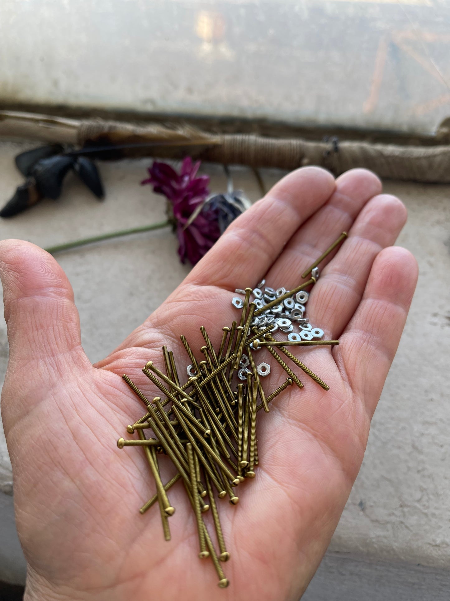 Components 315 - Set of Brass 1" Screws and Stainless Steel Nuts