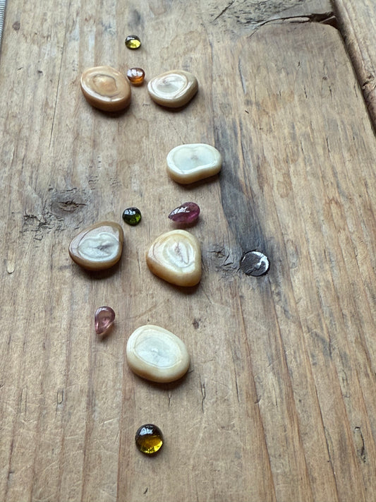 Gemstone Collection 590: Ancient Sliced bone, Rainbow Tourmaline