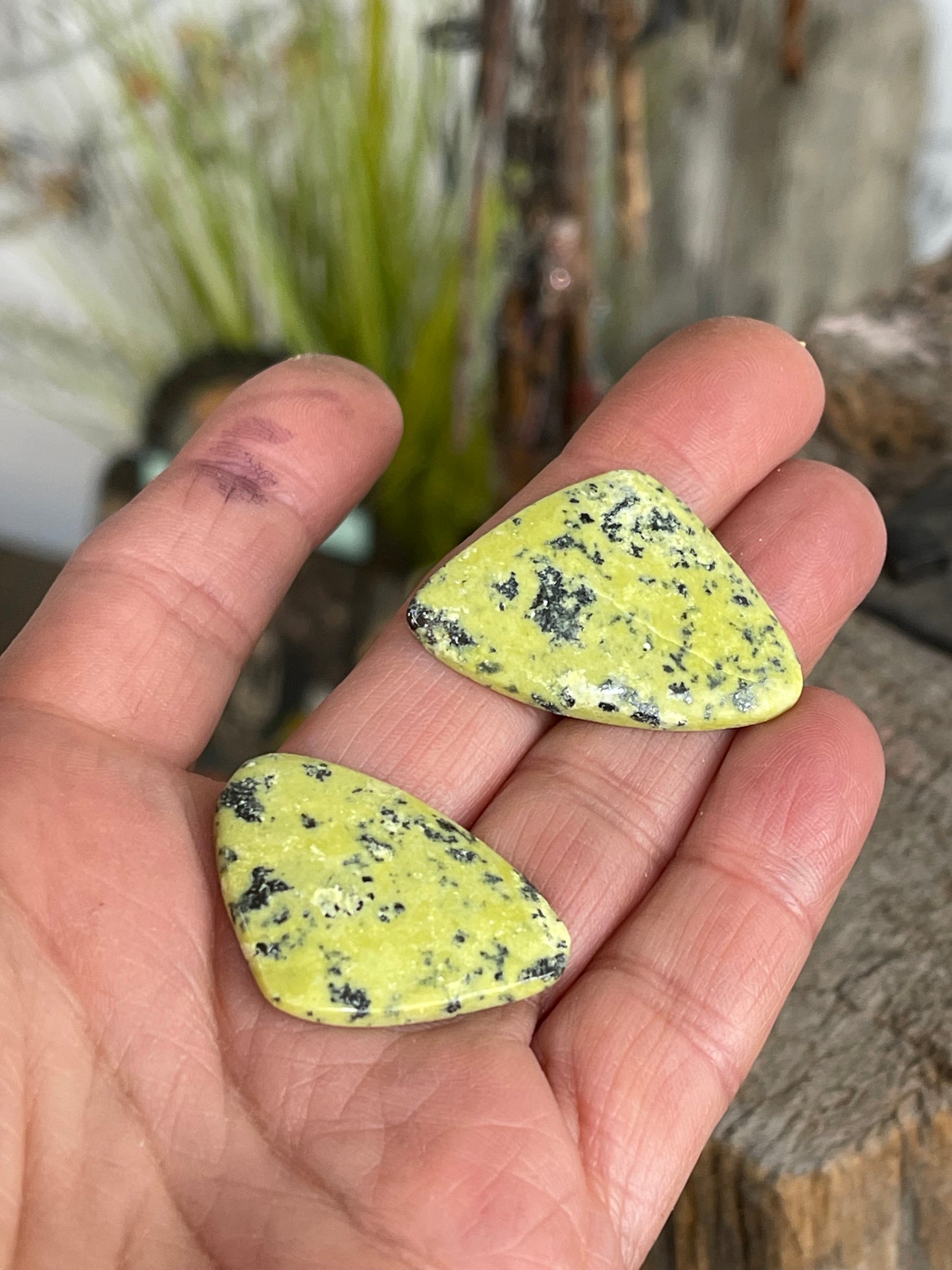 SPECKLED AGATE (F00441)